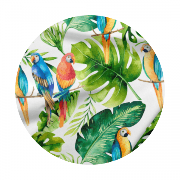 parrot fabric