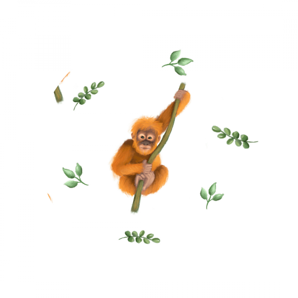 orangutan fabric 1